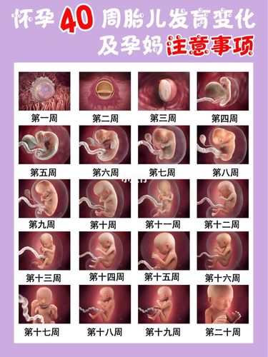 国内第三代代孕宝宝什么时候能看见